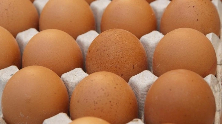 ABD'de yumurta fiyatlarında büyük düşüş