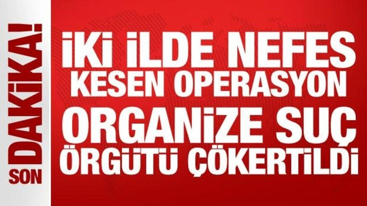 Adana merkezli iki ilde operasyon: Organize suç örgütü çökertildi