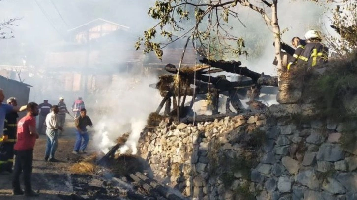 Artvin'de çıkan yangında 2 ev hasar gördü