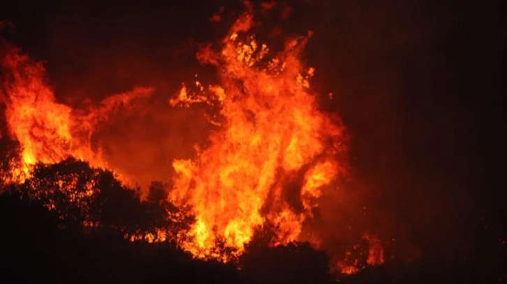 Aydın'da orman yangını! Kısa sürede yayılan alevlere havadan ve karadan müdahale sürüyor