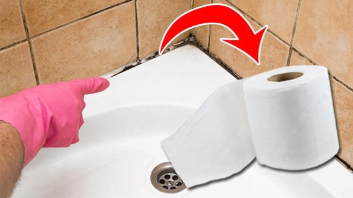 Banyo küfü nasıl temizlenir? Banyo küfü temizlemede tuvalet kağıdı hilesi!