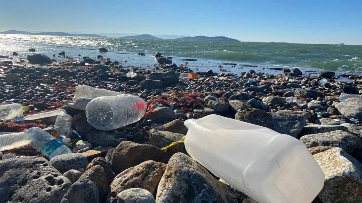 Bodrum Belediyesi denizleri temizledi! Deniz dibinden 2 tonu aşkın atık çıkarıldı