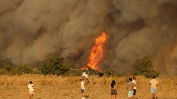 Çanakkale'deki orman yangınında son durum! Rüzgar 
