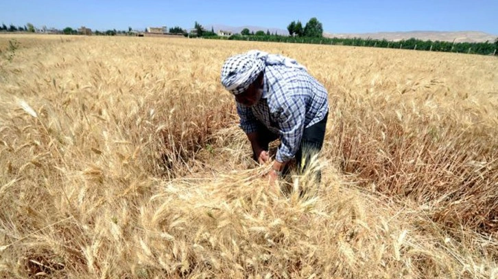 Çiftçilere 72 milyon 554 bin lira tarımsal destekleme ödemesi yapılacak