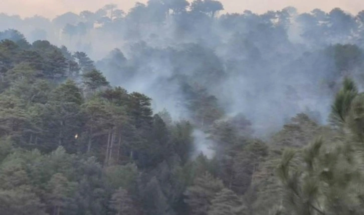 Denizli'de çıkan orman yangınında 5 hektar alan zarar gördü