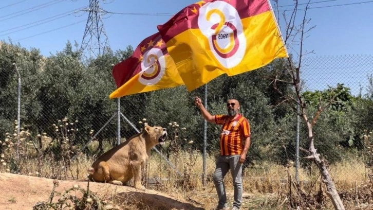Diyarbakırlı taraftar, Galatasaray’ın 24. şampiyonluğunu aslanlarıyla kutladı