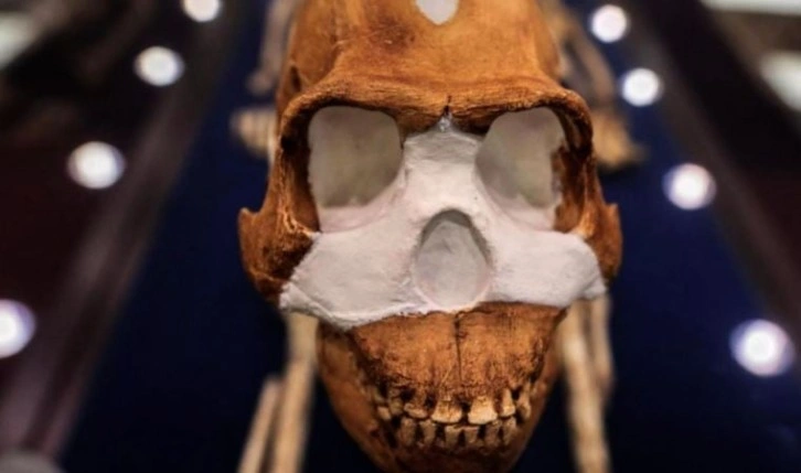 Dünyanın en eski mezarlığı keşfedildi