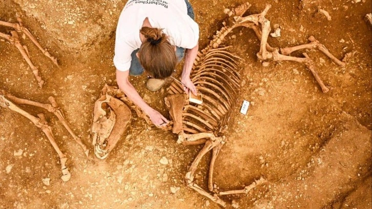 En eski hayvan mezarlarından biri! Fransa'da bulundu