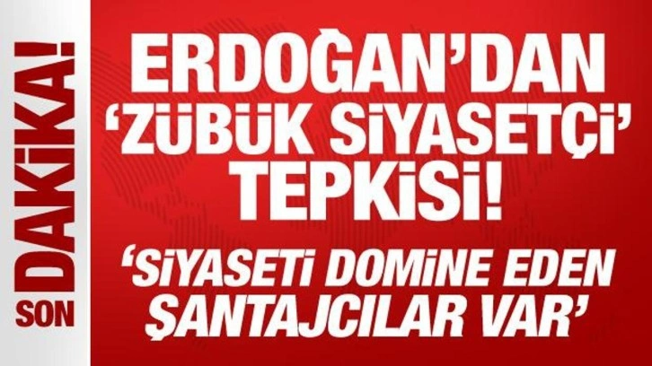 Erdoğan'dan 'zübük siyasetçi' tepkisi: Siyaseti domine eden şantajcılar var!