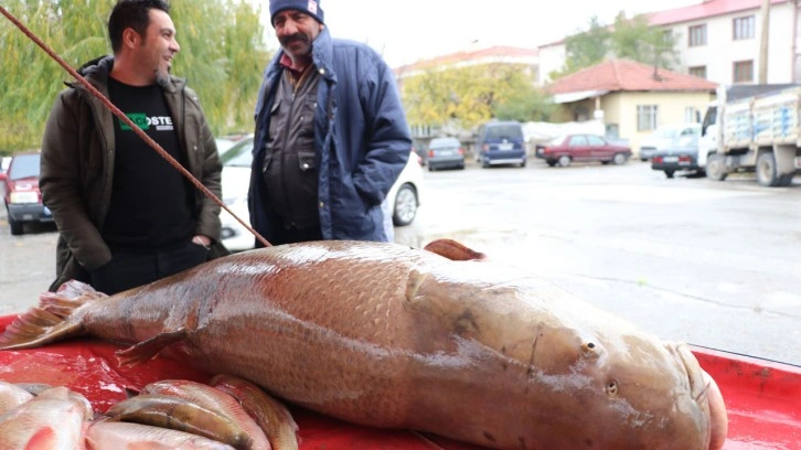Erzincanlı balıkçı Karasu nehrinde yakaladı görenler şaşkına döndü