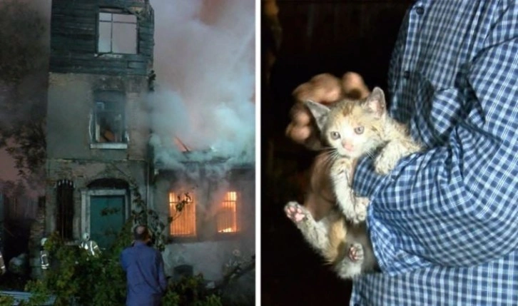 Fatih'te metruk binada yangın: 2 yavru kedi ve 1 köpek kurtarıldı
