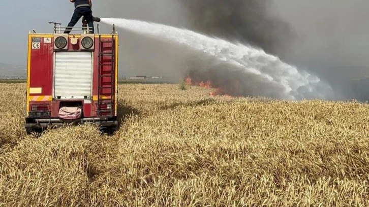 iki ayrı yangında 77 dönüm ekili buğday tarlası zarar gördü