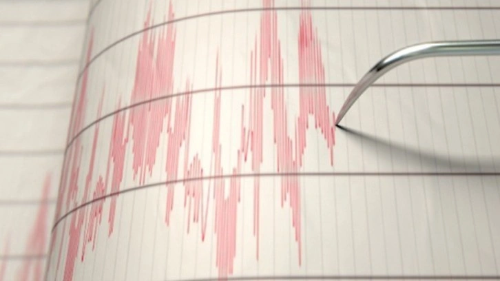 Japonya'daki depremlerde can kaybı 215'e çıktı