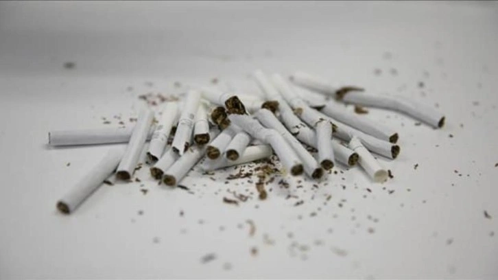 Kanserlerin yüzde 30'u sigara kaynaklı