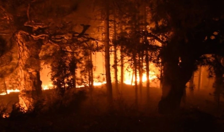Manisa ve Kütahya'da orman yangını! 40 kişi tahliye edildi, 8 ev kül oldu