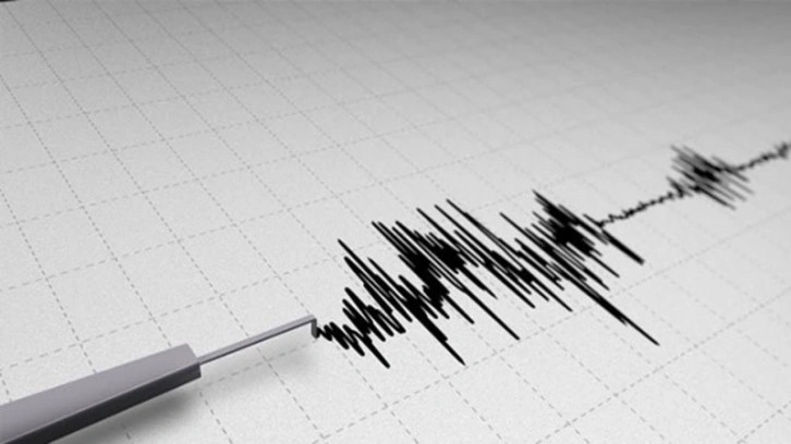 Muğla'da panik yaratan deprem! AFAD'dan açıklama geldi.
