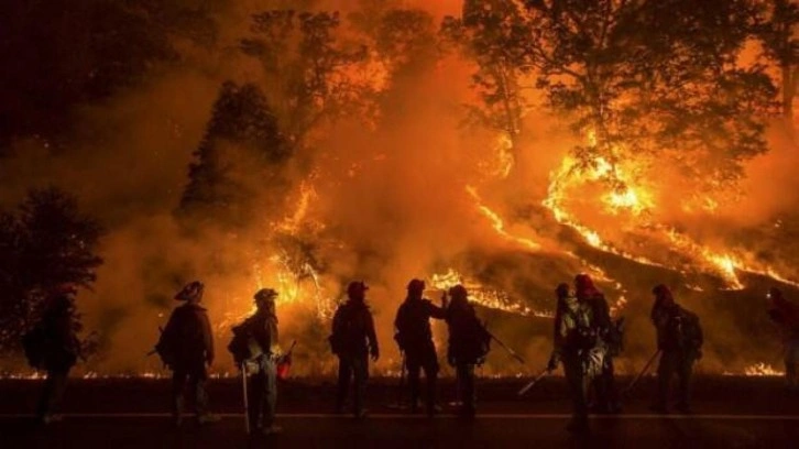 'Özel birim' kurdular, Yunan 28 yıldır ormanlarımızı yakıyor!