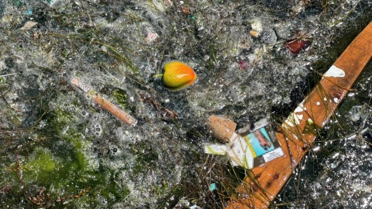 Sarıyer'de deniz kenarına vuran çöpler vatandaşı isyan ettirdi