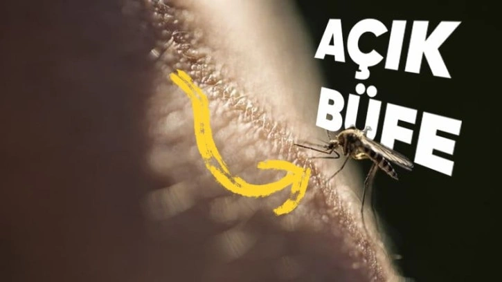 Sivrisinekler Bazı İnsanları Neden Daha Fazla Isırır? - Webtekno