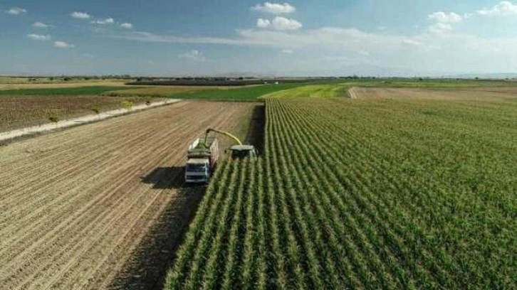 Tarım-ÜFE yıllık yüzde 148,90 arttı