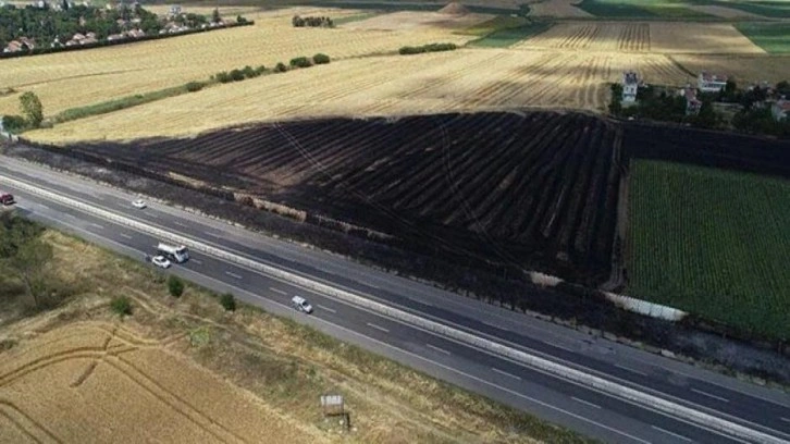 Trakya’da toplam 102 bin 700 metrekare tarım alanı yandı
