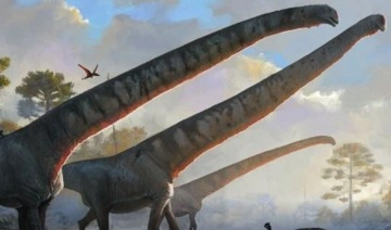 15 metre boyunlu dinozorlar, doğa kanunlarına meydan okuyordu