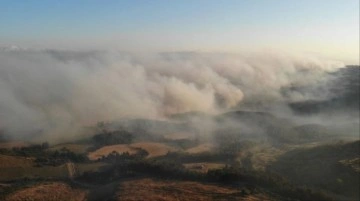 15 saattir söndürülmeye çalışılıyor! Çanakkale'deki orman yangını havadan görüntülendi
