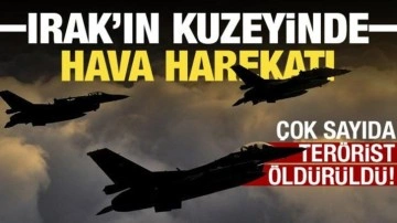 16 PKK'lı terörist etkisiz hale getirildi