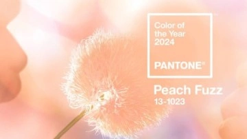 2024 Yılının Rengi Belli Oldu: Bazılarınız Çok Huylanacak - Webtekno