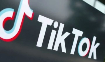28 binden fazla uygulama TikTok'un kitini kullanıyor