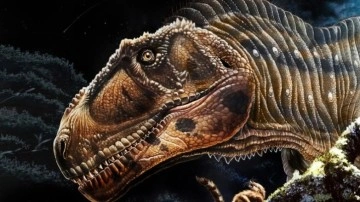 3,5 Katlı Bina Uzunluğunda Yeni Bir Dinozor Türü Keşfedildi