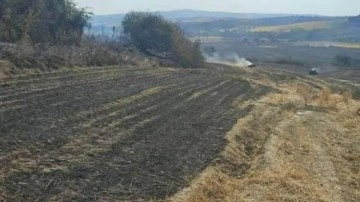 380 dönüm buğday tarlası kül oldu