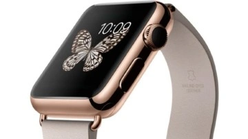 470 Bin TL'lik Apple Watch, "Çöp" Oldu - Webtekno