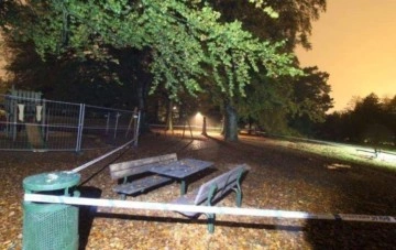 5 erkek bir kadına çocuk parkında tecavüz etti! İsveç mahkemesinin verdiği ceza vicdanları yaraladı