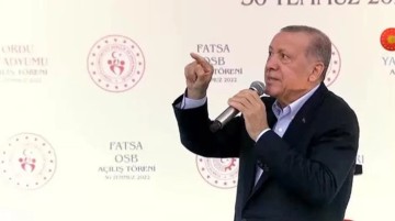 6'lı masayı hedef alan pankart Erdoğan'ı mest etti: Benim Ordulum böyle haddini bildirir