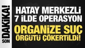 7 ilde operasyon: Organize suç örgütü çökertildi!