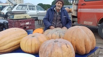 71 yaşında ekmeğinin peşinde, bal kabağı satarak geçimini sağlıyor