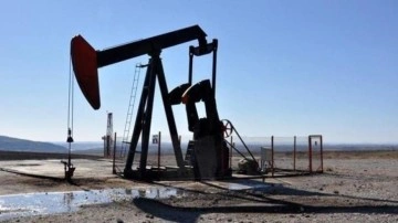 Adana Karaisalı'da 10 sondaj kuyusu açılarak petrol aranacak