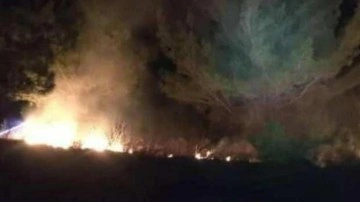 Adana'da çıkan orman yangını söndürüldü