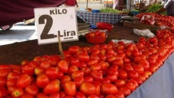 Adana'da domatesin kilosu 2 liraya düştü