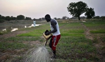 Afrika tarımı için 257 milyar dolara ihtiyaç var