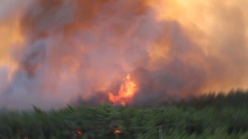 Afyonkarahisar'da ağaçlık alanda çıkan yangına müdahale ediliyor