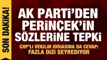 AK Parti'den Doğu Perinçek'in sözlerine tepki: Haddini bilmezlik