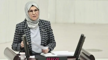AK Partili Radiye Sezer Katırcıoğlu, Lütfü Türkkan'a dersini verdi