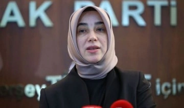 AKP, Zengin’i ‘Kenara itti’ muhalefet sahip çıktı