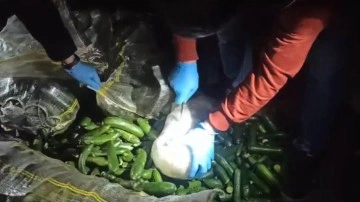 Aksaray'da salatalık çuvallarından uyuşturucu çıktı