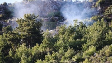 Alanya'da ormanlık alanda yangın