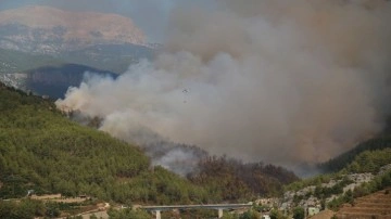 Alanya'da orman yangını! Alevler geniş alana yayıldı, havadan ve karadan müdahale ediliyor