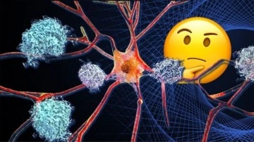 Alzheimer'ı Erken Teşhis Eden Test Kitleri Geliştirildi - Webtekno