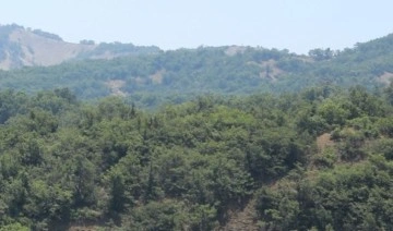 Amasya'da ormanlara giriş çıkışlar ve ateşli piknik yasaklandı